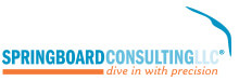 Springboard consulting llc, dive in with precision